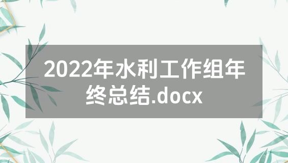 2022年水利工作组年终总结.docx