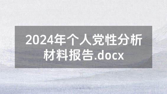 2024年个人党性分析材料报告.docx