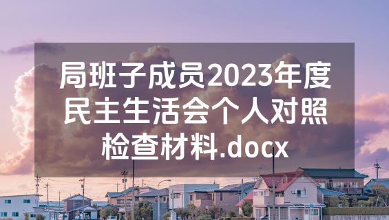 局班子成员2023年度民主生活会个人对照检查材料.docx