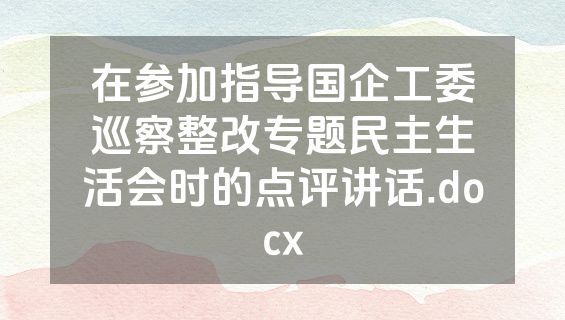 在参加指导国企工委巡察整改专题民主生活会时的点评讲话.docx