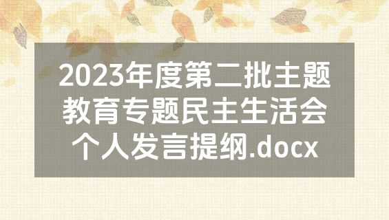 2023年度第二批主题教育专题民主生活会个人发言提纲.docx