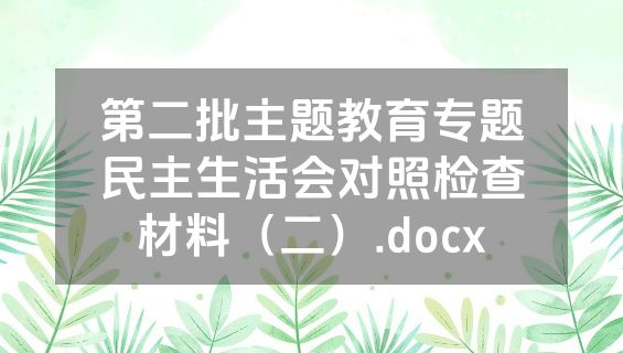 第二批主题教育专题民主生活会对照检查材料（二）.docx