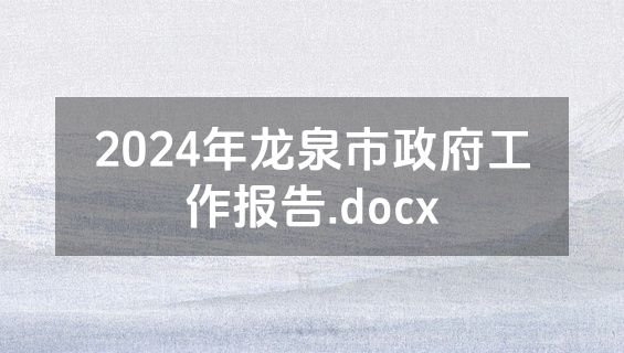 2024年龙泉市政府工作报告.docx
