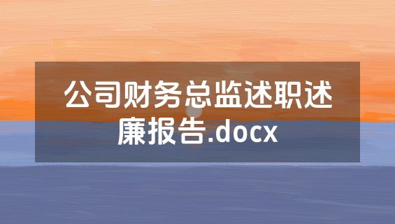 公司财务总监述职述廉报告.docx