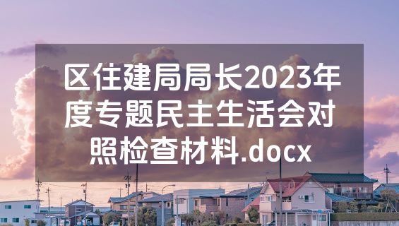 区住建局局长2023年度专题民主生活会对照检查材料.docx