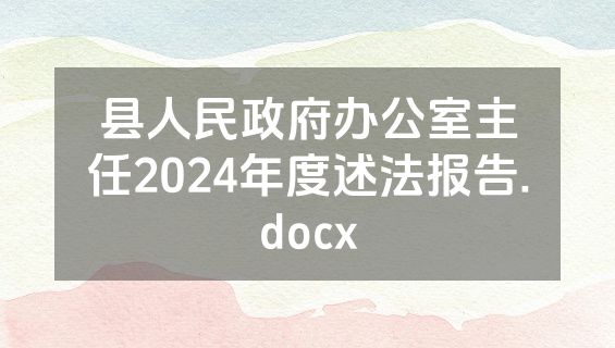 县人民政府办公室主任2024年度述法报告.docx