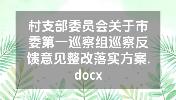 村支部委员会关于市委第一巡察组巡察反馈意见整改落实方案.docx