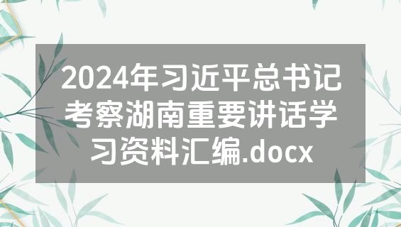 2024年习近平总书记考察湖南重要讲话学习资料汇编.docx