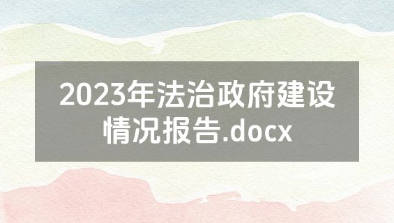 2023年法治政府建设情况报告.docx