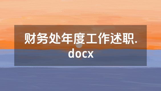 财务处年度工作述职.docx