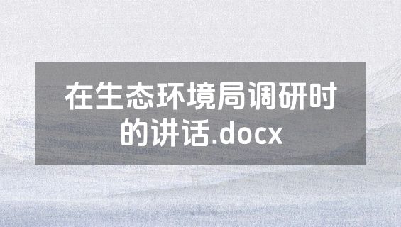 在生态环境局调研时的讲话.docx