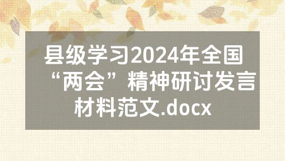 县级学习2024年全国“两会”精神研讨发言材料范文.docx