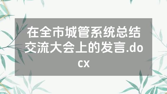 在全市城管系统总结交流大会上的发言.docx