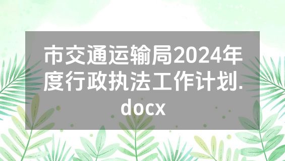 市交通运输局2024年度行政执法工作计划.docx