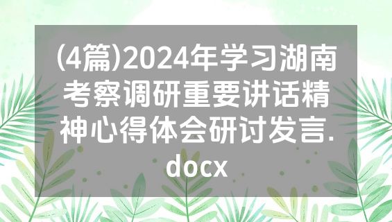 (4篇)2024年学习湖南考察调研重要讲话精神心得体会研讨发言.docx