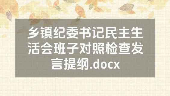 乡镇纪委书记民主生活会班子对照检查发言提纲.docx