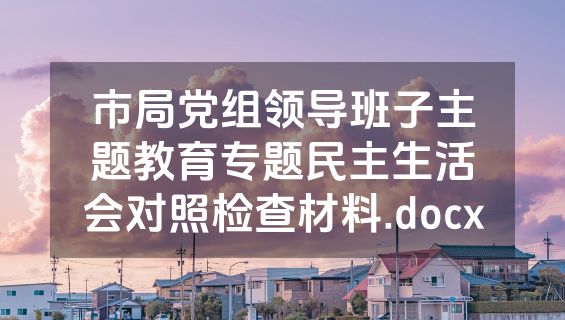 市局党组领导班子主题教育专题民主生活会对照检查材料.docx