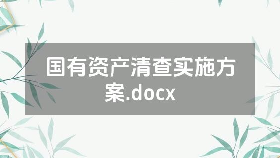 国有资产清查实施方案.docx