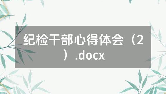 纪检干部心得体会（2）.docx