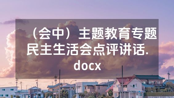 （会中）主题教育专题民主生活会点评讲话.docx
