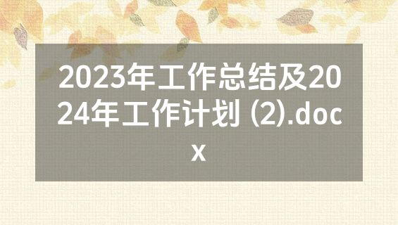 2023年工作总结及2024年工作计划 (2).docx