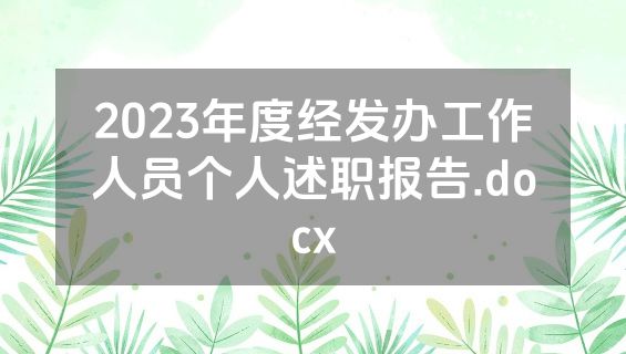2023年度经发办工作人员个人述职报告.docx