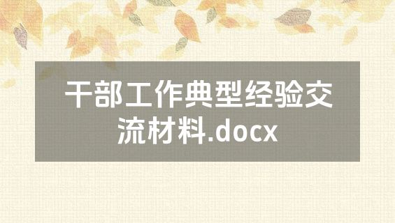 干部工作典型经验交流材料.docx