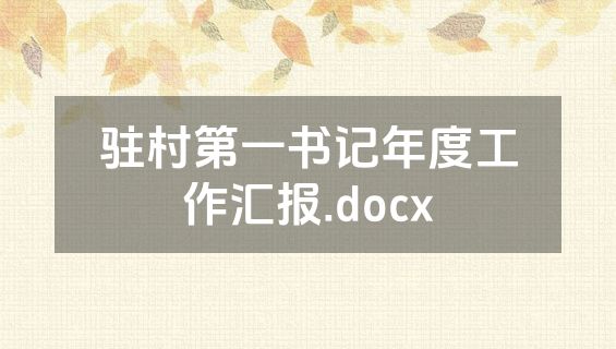 驻村第一书记年度工作汇报.docx