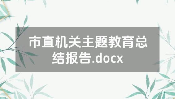 市直机关主题教育总结报告.docx