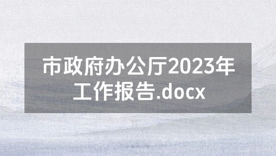 市政府办公厅2023年工作报告.docx