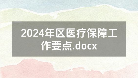2024年区医疗保障工作要点.docx