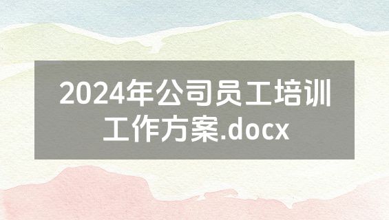 2024年公司员工培训工作方案.docx