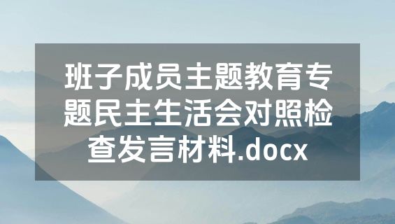 班子成员主题教育专题民主生活会对照检查发言材料.docx