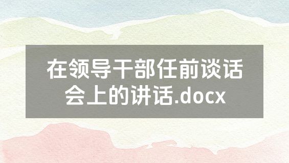 在领导干部任前谈话会上的讲话.docx