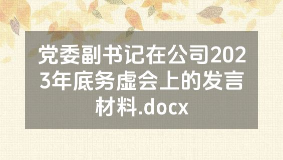 党委副书记在公司2023年底务虚会上的发言材料.docx
