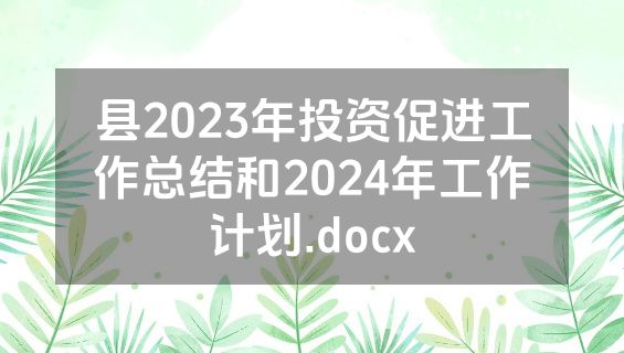 县2023年投资促进工作总结和2024年工作计划.docx