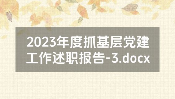 2023年度抓基层党建工作述职报告-3.docx