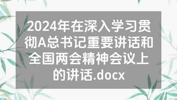 2024年在深入学习贯彻A总书记重要讲话和全国两会精神会议上的讲话.docx