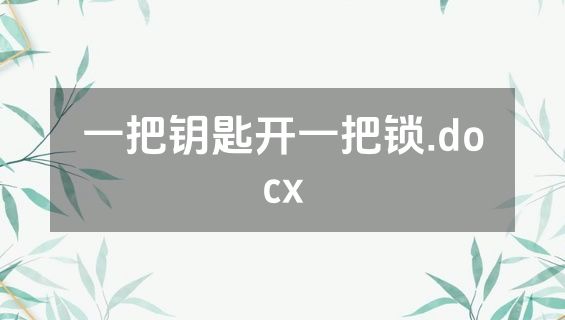 一把钥匙开一把锁.docx