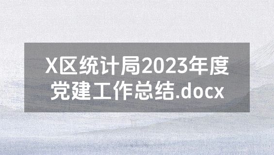 X区统计局2023年度党建工作总结.docx
