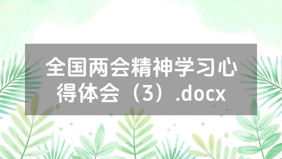 全国两会精神学习心得体会（3）.docx