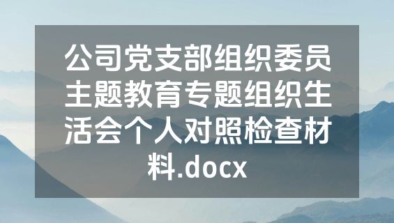 公司党支部组织委员主题教育专题组织生活会个人对照检查材料.docx