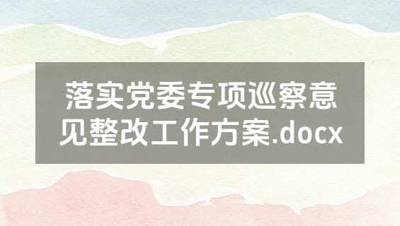 落实党委专项巡察意见整改工作方案.docx
