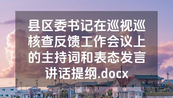 县区委书记在巡视巡核查反馈工作会议上的主持词和表态发言讲话提纲.docx
