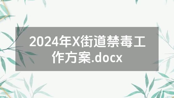 2024年X街道禁毒工作方案.docx