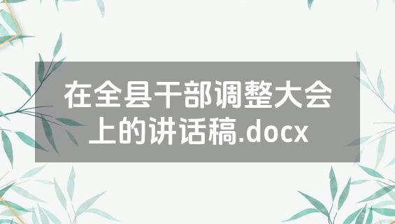 在全县干部调整大会上的讲话稿.docx