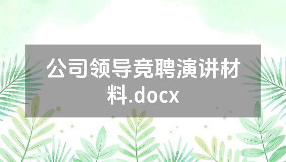 公司领导竞聘演讲材料.docx
