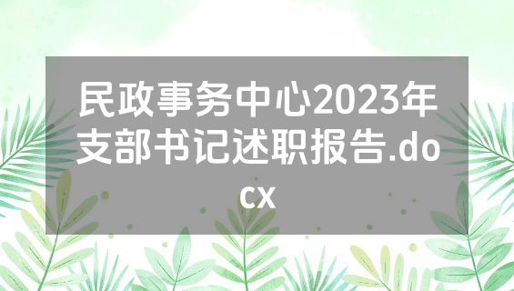 民政事务中心2023年支部书记述职报告.docx