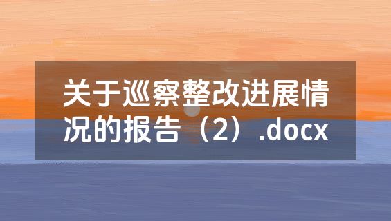 关于巡察整改进展情况的报告（2）.docx