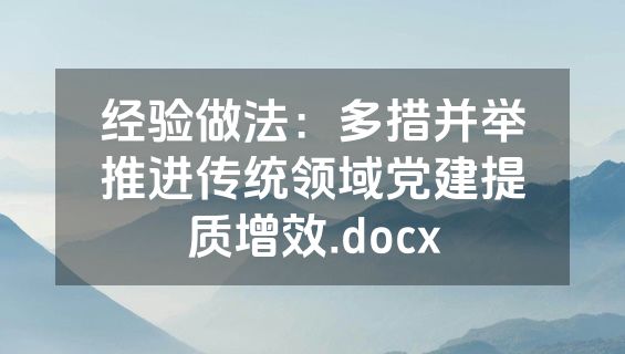 经验做法：多措并举推进传统领域党建提质增效.docx